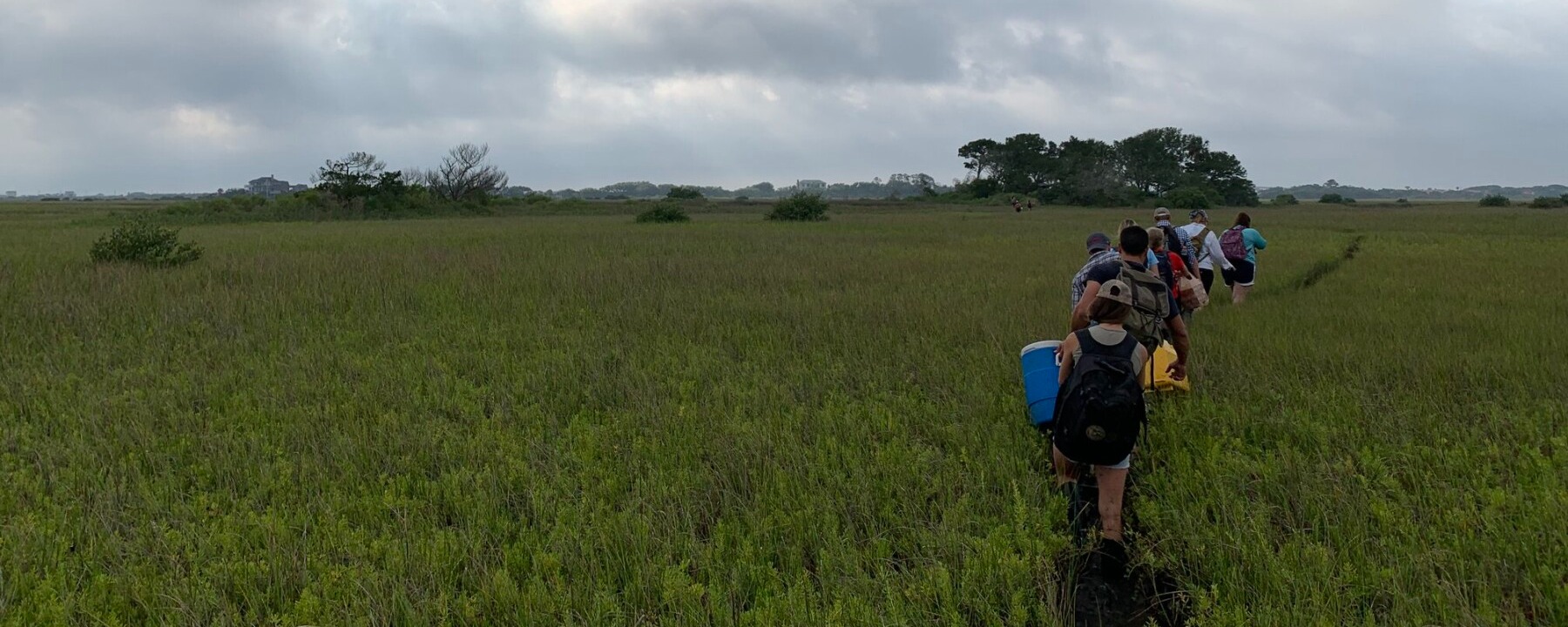 College of Liberal Arts