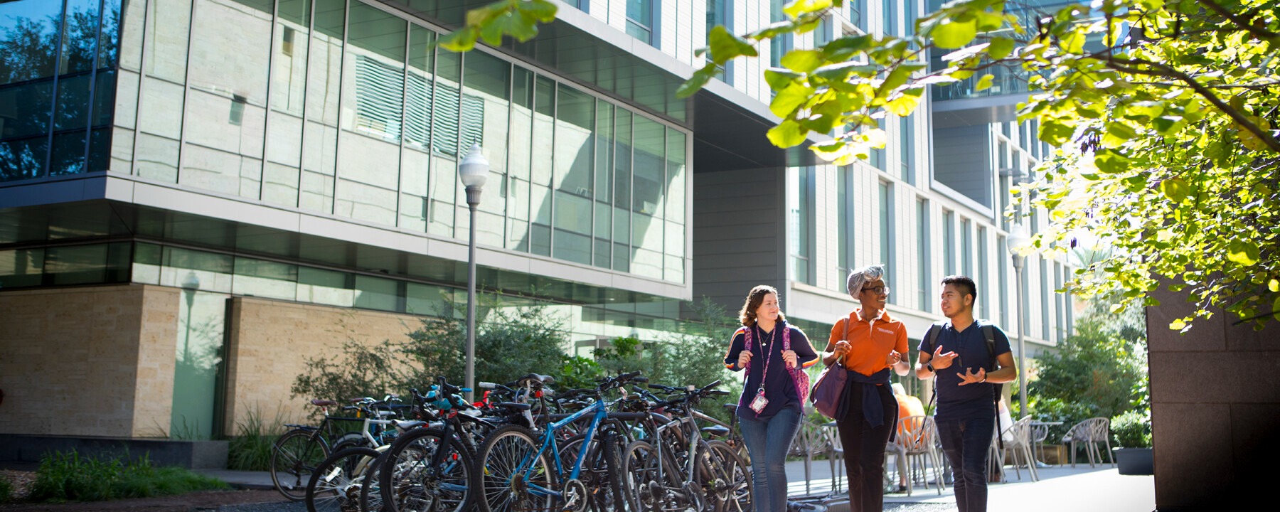 College of Liberal Arts