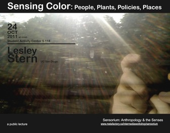 Lesley Stern: Sensing Color