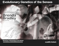 Brenda Bradley: Evolutionary Genetics of the Senses