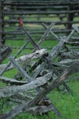 Shakespeare at Winedale’s 43rd Summer Season