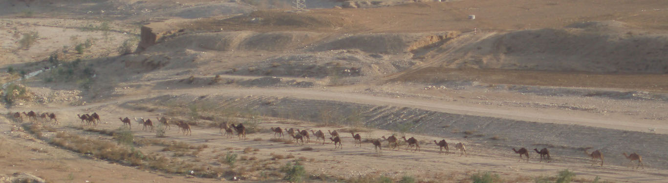 Seminar Series with Steven A. Rosen, Ben-Gurion University of the Negev