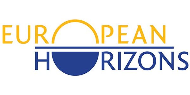 Human Rights in Multilateral Settings -