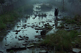 Film: Stalker