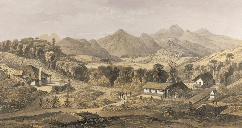 Raymond Hyser — “'Brought Into Tilth by Axe and Fire': Planters, Botanical Gardens, and the Ecological Transformation of British Ceylon”