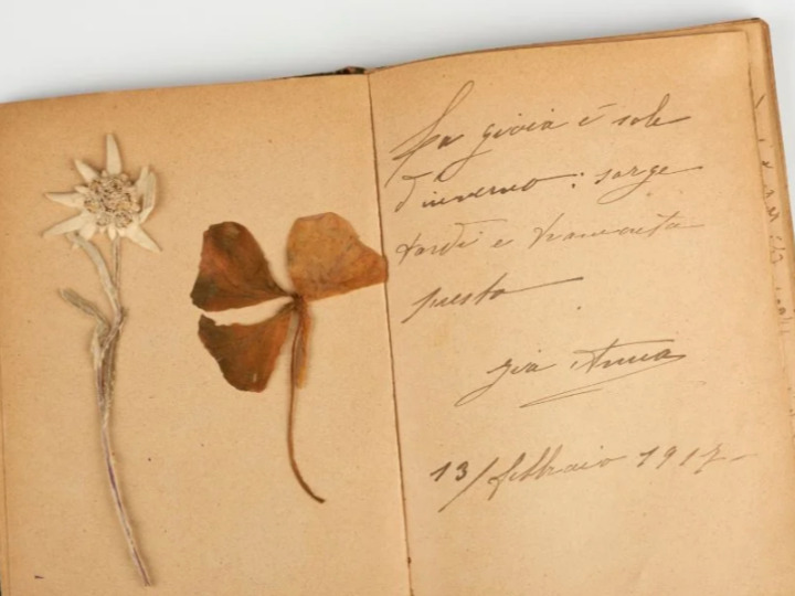 College of Liberal Arts