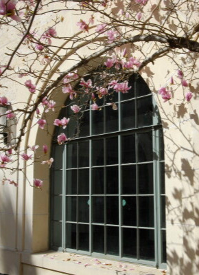 College of Liberal Arts