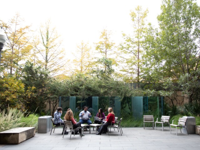 College of Liberal Arts