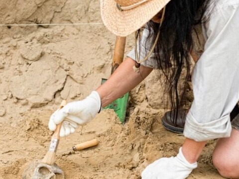 A person kneeling at an outdoor excavation site, carefully brushing soil from a partially exposed object using small hand tools while wearing gloves.