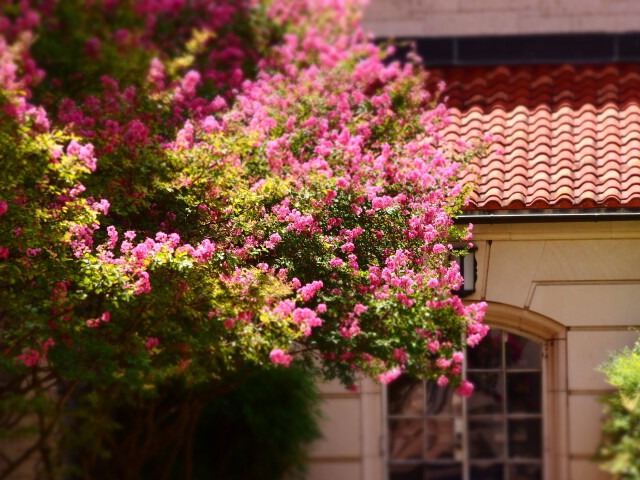 College of Liberal Arts