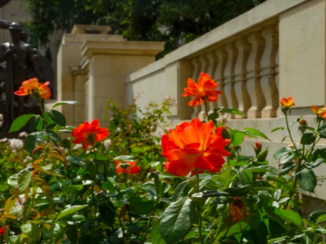 College of Liberal Arts