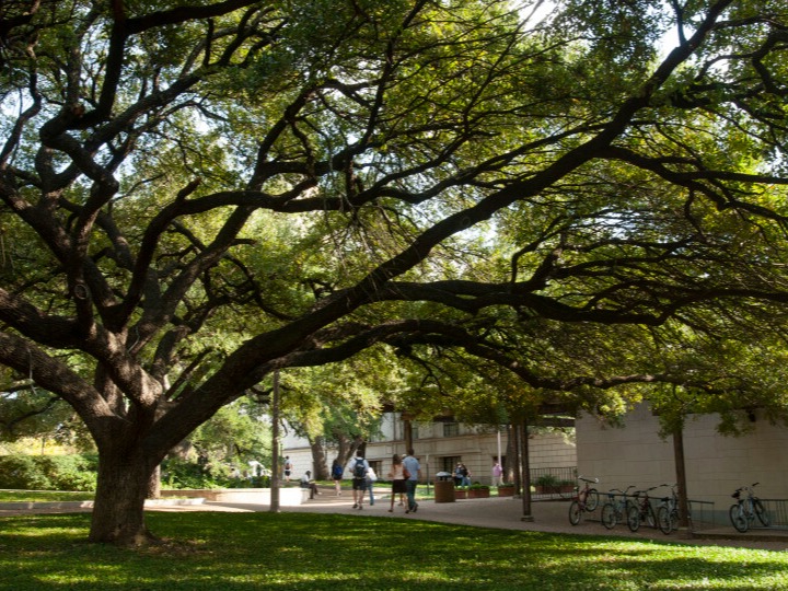 College of Liberal Arts