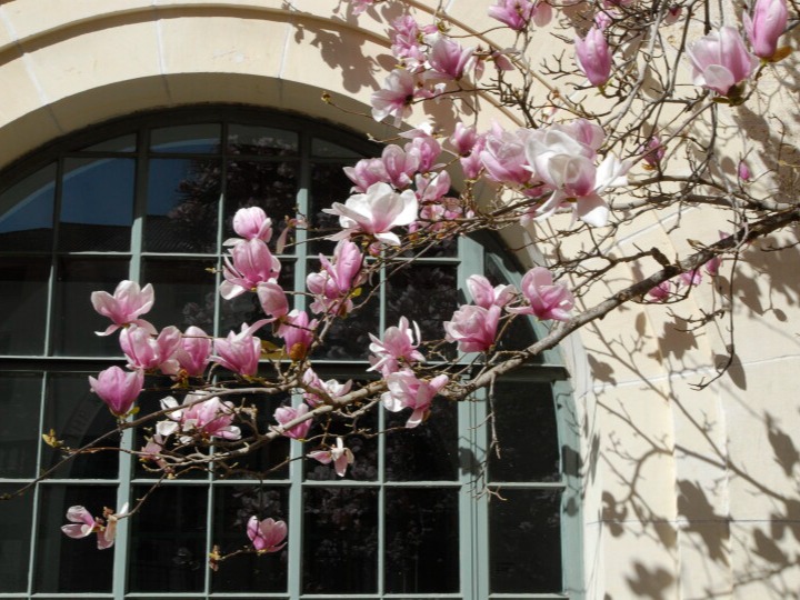 College of Liberal Arts