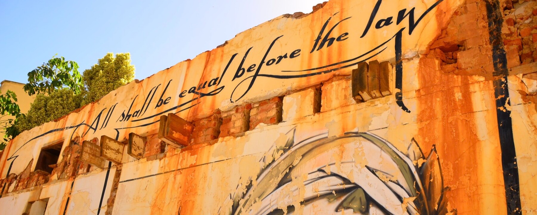 Center for Law and Democracy