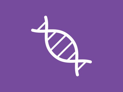 Race & Latinx/e Communities