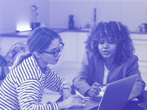 Research Mentors