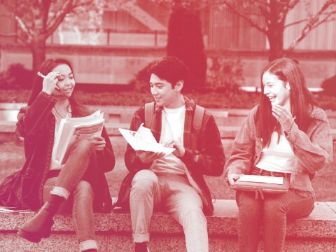 Undergraduate researchers