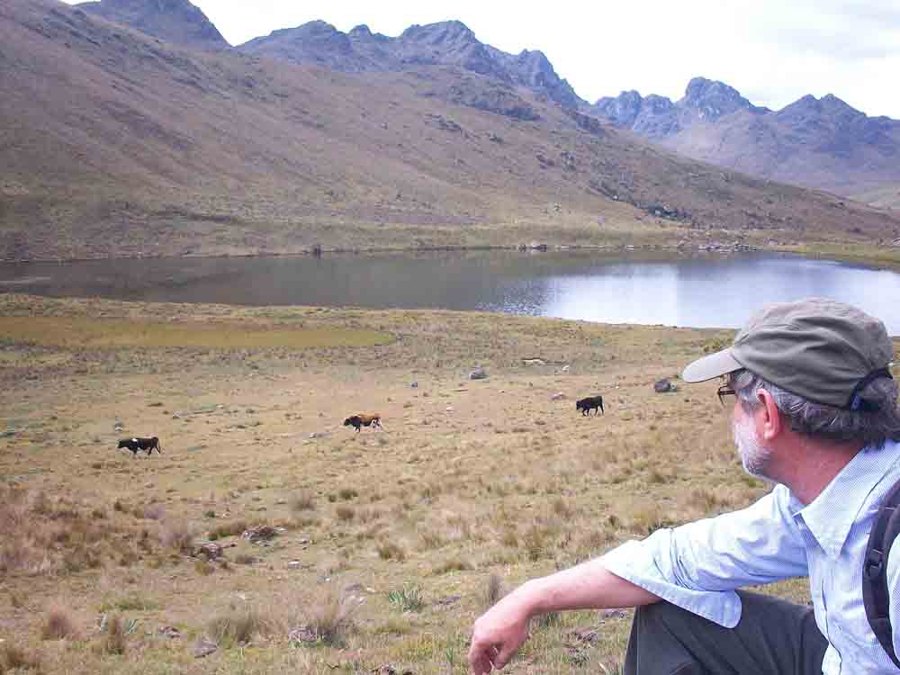 High Andean landscape in northern Peru