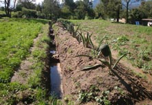 Farming system in Tlaxcla, Mexico