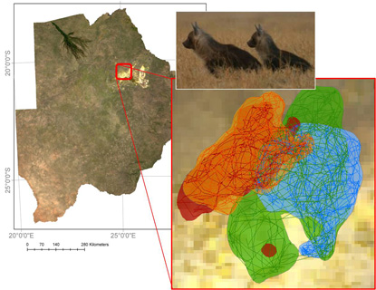 Study area in Northern Botswana; Simulated movement trajectories for two pairs of hyenas in their respective ranges
