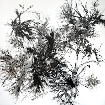 Wind Drawing Series Sumi ink on birch panel, 48' x 48