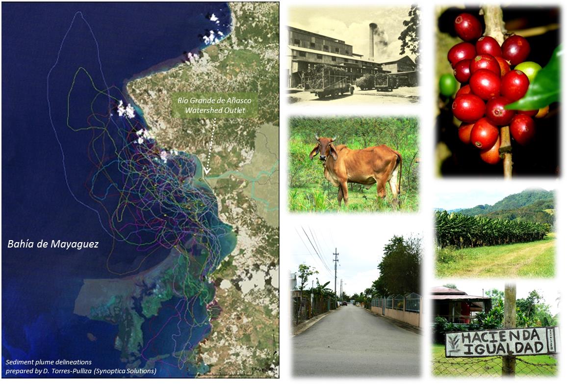Research Spotlight: Dr. Carlos E. Ramos Scharrón