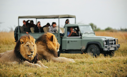 Study Abroad Program in Botswana Summer 2015