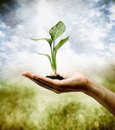 Environmental Science