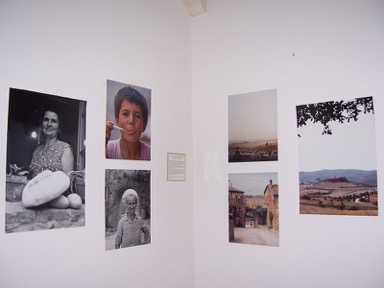 Dr. Edlund-Berry at the 50th anniversary of the excavations at Poggio Civitate