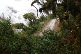 View from within montane forest overlooking road in the southern Peruvian Andes