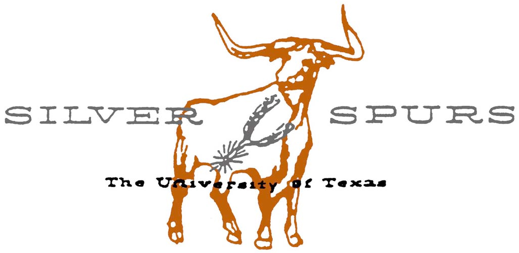 Professor Jacqueline Henkel Wins the Silver Spurs Centennial Teaching Fellowship
