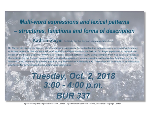 Dr. Steyer investigates multi-word expressions and their lexicographic relevance