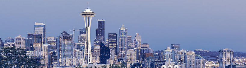 Call for Papers - 2020 MLA Convention