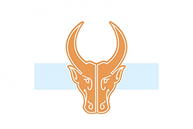 Tamil student Jana Dsouza connects Tamil Nadu bullfights with Bevo