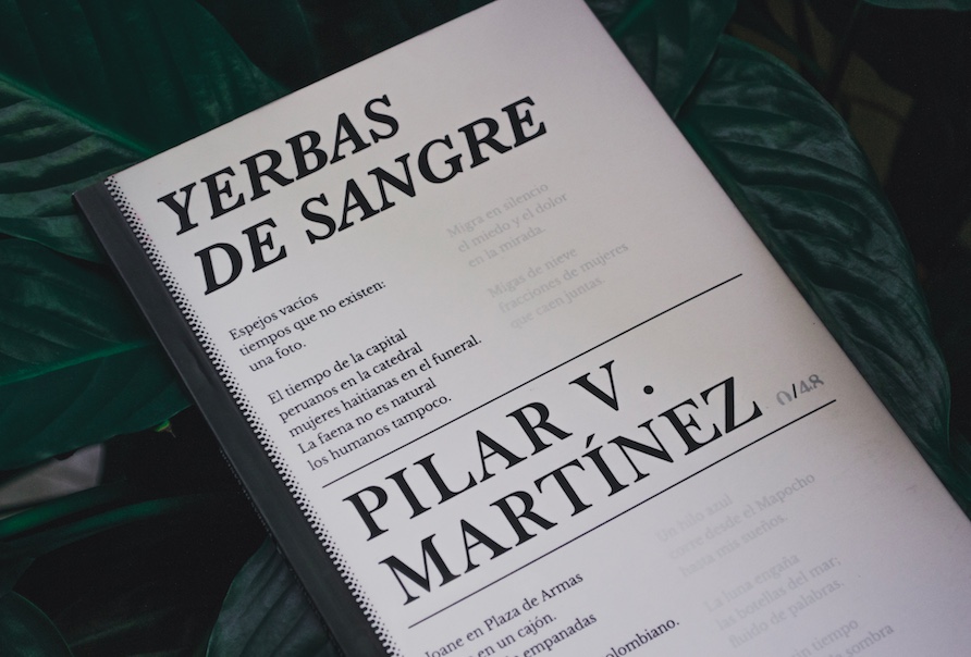 New Publication From Pilar Villanueva Martínez