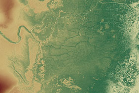 A lidar-derived model of the Birds of Paradise ancient Maya wetland field system and parts of the nearby Maya sites in Northwestern Belize. Image courtesy of Tim Beach, UT Austin.