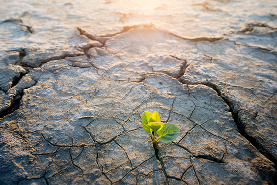 Institute's new theme, “Climate in Context: Historical Precedents and the Unprecedented,” to examine the historical and historiographic complexities of environmental breakdown