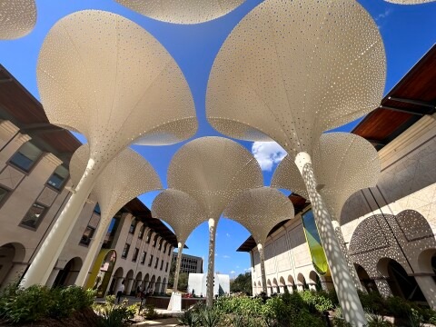 College of Liberal Arts