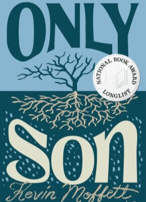 Picture of the cover of "We Burn Daylight" by Bret Anthony Johnston. The cover has a photo of a vertical cloud. The cover (the cloud and the lettering) are chrome colored.