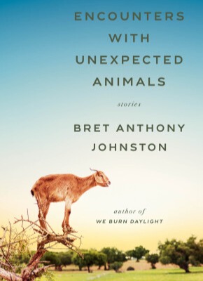 Picture of the cover of "We Burn Daylight" by Bret Anthony Johnston. The cover has a photo of a vertical cloud. The cover (the cloud and the lettering) are chrome colored.