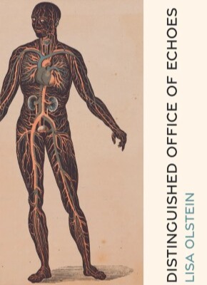 Picture of the cover of "Distinguished Office of Echoes" by Lisa Olstein. The cover has an anatomical drawing of a human with the arteries and organs filling in the bisected human figure. The background is tan and the title is written vertically on the righthand side.