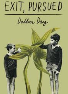 Picture of the cover of  "Exit, Pursued" by Dalton Day. The cover has two boys in black and white moving the leaves of two tall, leafy green plants