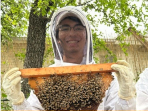 College of Liberal Arts