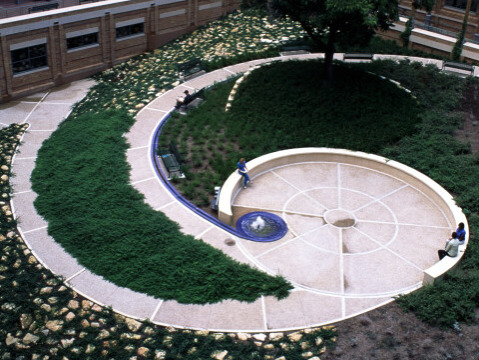 College of Liberal Arts
