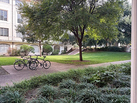 College of Liberal Arts