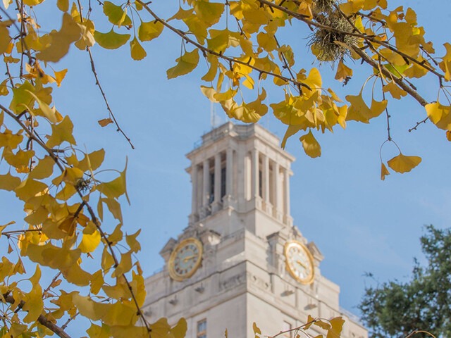 The UT Tower through autumn leaves