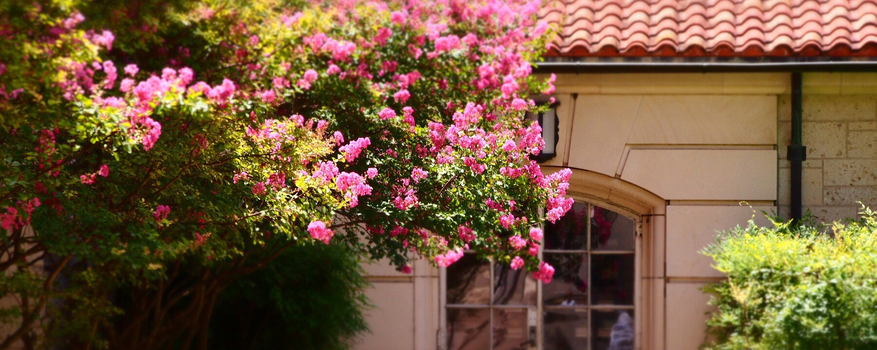 College of Liberal Arts