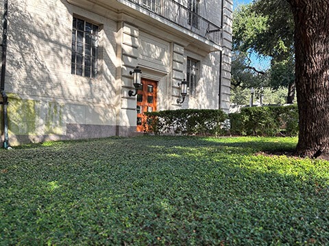 College of Liberal Arts