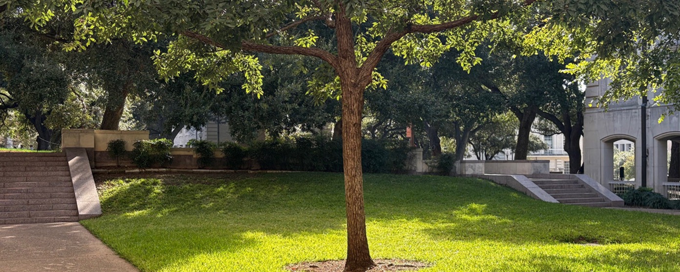 College of Liberal Arts