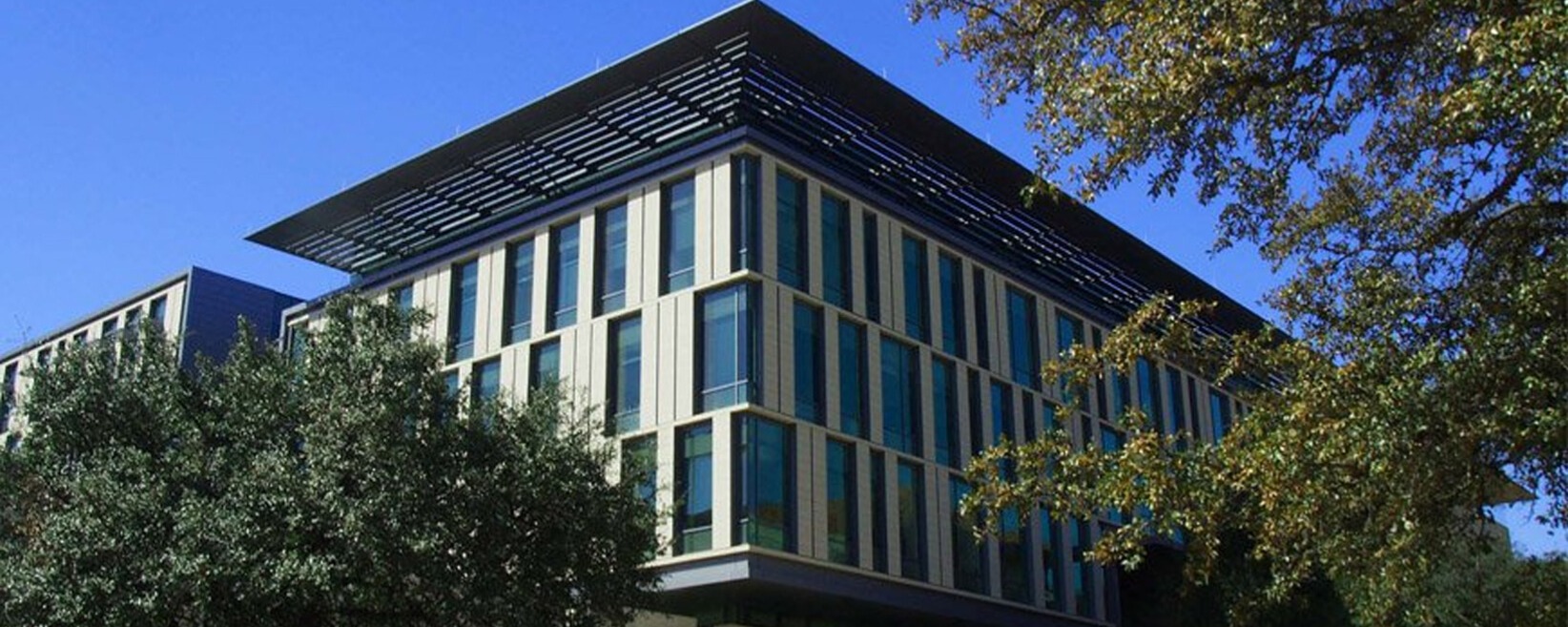College of Liberal Arts